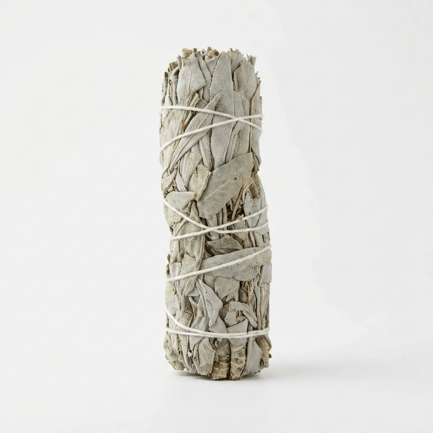 California White Sage Smudge Stick | Natural Cleansing Sage Bundle - Image 2